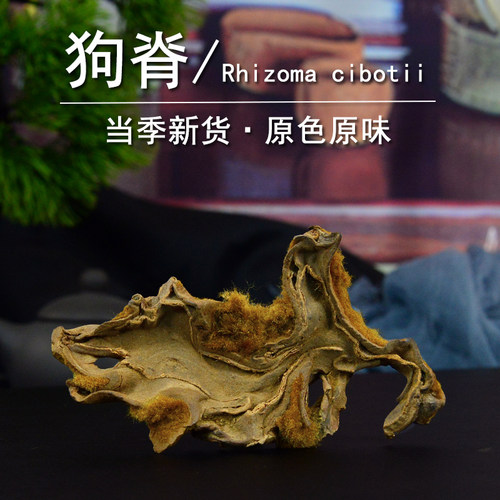 金毛狗脊中药材正金毛狗脊粉