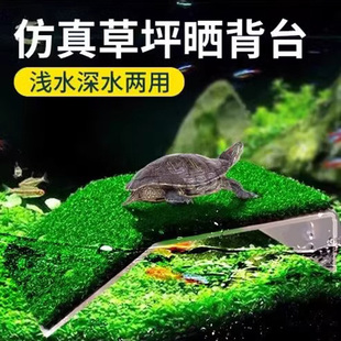 乌龟晒台草皮草坪爬台爬虫爬梯爬坡晒背台大号饲养盒休息爬坡平台