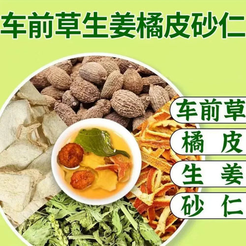 车前草砂仁姜橘泡水正品中药材