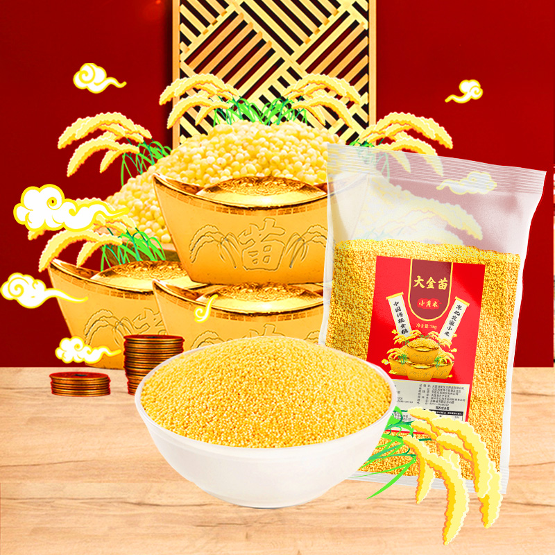 农家五谷东北养胃小米粥自产小黄米