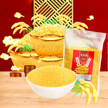 农家五谷东北养胃小米粥自产小黄米