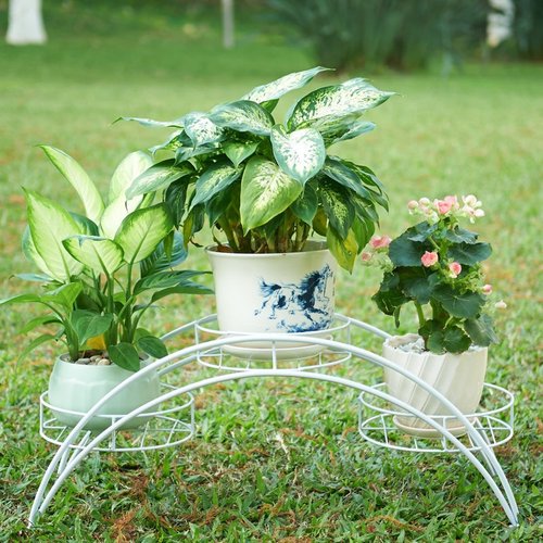 欧式半圆花架简约铁艺阳台拱形花架室内绿萝爬藤架飘窗装饰花盆架