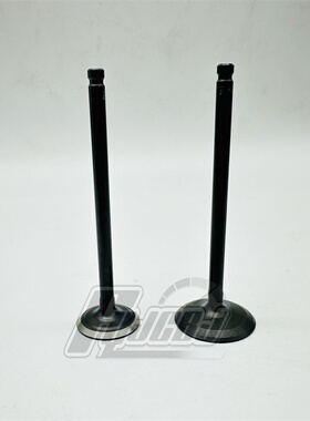 供应轻骑摩托配件 极客飒GSX150N155F气门排气门进气门一付