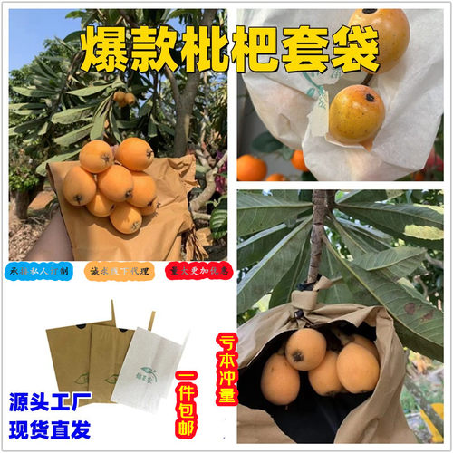 厂家直供枇杷套袋一件也是批发价