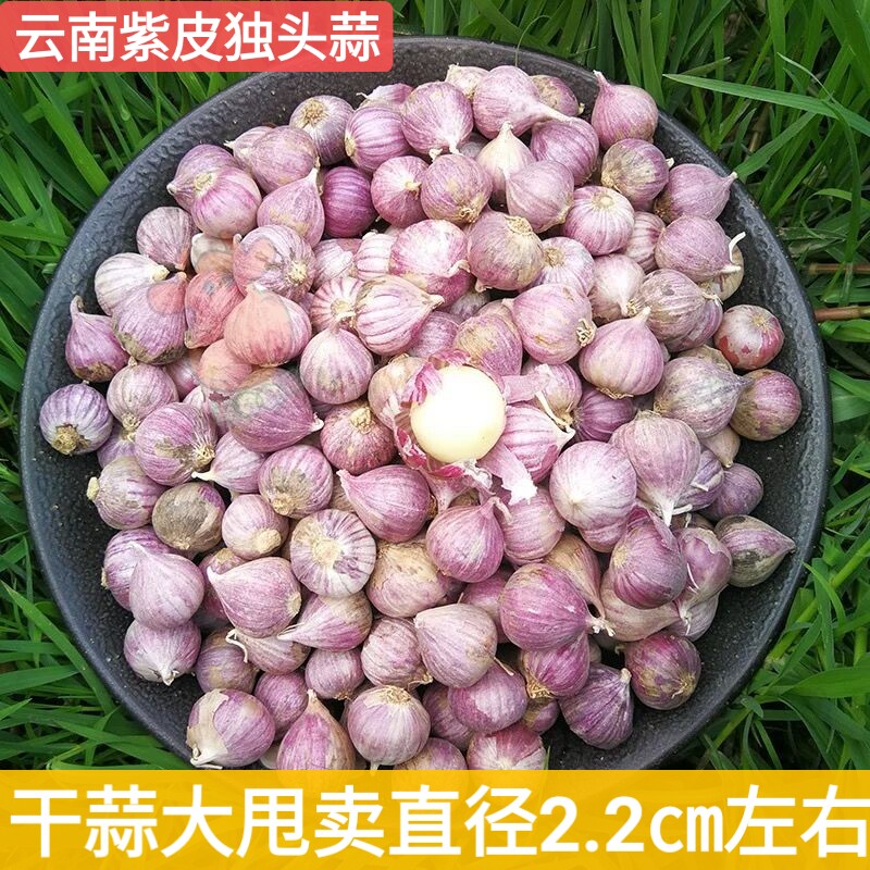云南独蒜头紫皮大蒜干蒜头2.2cm中小果独头蒜价