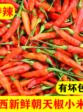朝天椒新鲜小米辣特辣小米椒赣州野山椒赣南本地黄红色指天椒