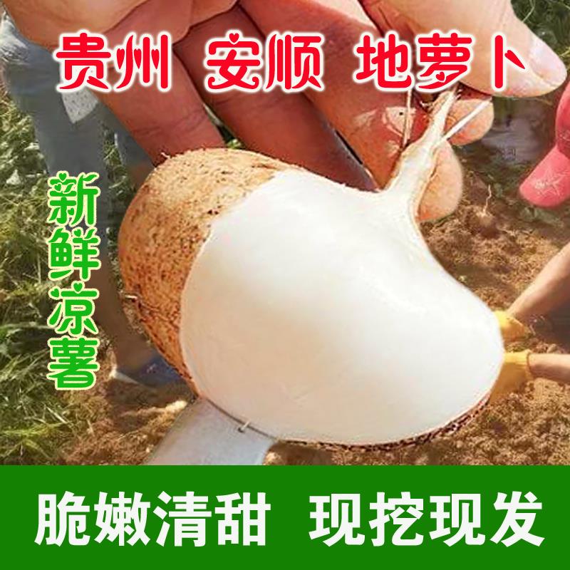 广西地萝卜白凉薯新鲜现挖白地瓜蔬菜水果沙葛土番薯农家特产红薯 水产肉类/新鲜蔬果/熟食 番薯 原图主图