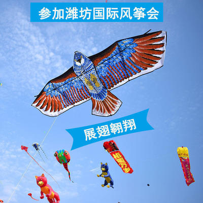 老鹰风筝大型大特大潍坊高档专业微风易飞成人学者带线轮大风筝