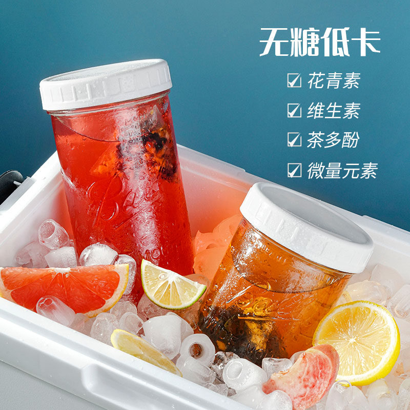 Teekanne进口水果茶蜜桃茶冷泡茶茶包儿童茶包冲泡冲饮补充维C