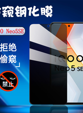 昌想 适用vivo iqoo neo5se防窥膜iqooneo5s钢化膜iqoou5手机保护模V2165A全玻璃V2154A抗指纹V2157A防刮iq00