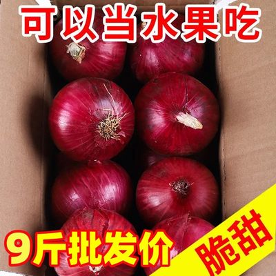 云南紫皮洋葱新鲜10斤农家蔬菜