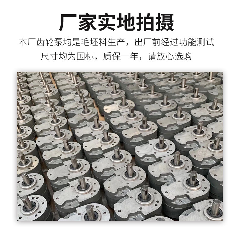 CB-B6/B10/B4/B16/B20/B25/B32/B40/B50/B63/B80/B100/B125齿轮泵