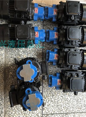 CB-B6JZ CB-B4/B2.5/B10内轴齿轮油泵电机CBW-B锯床润滑370/550W
