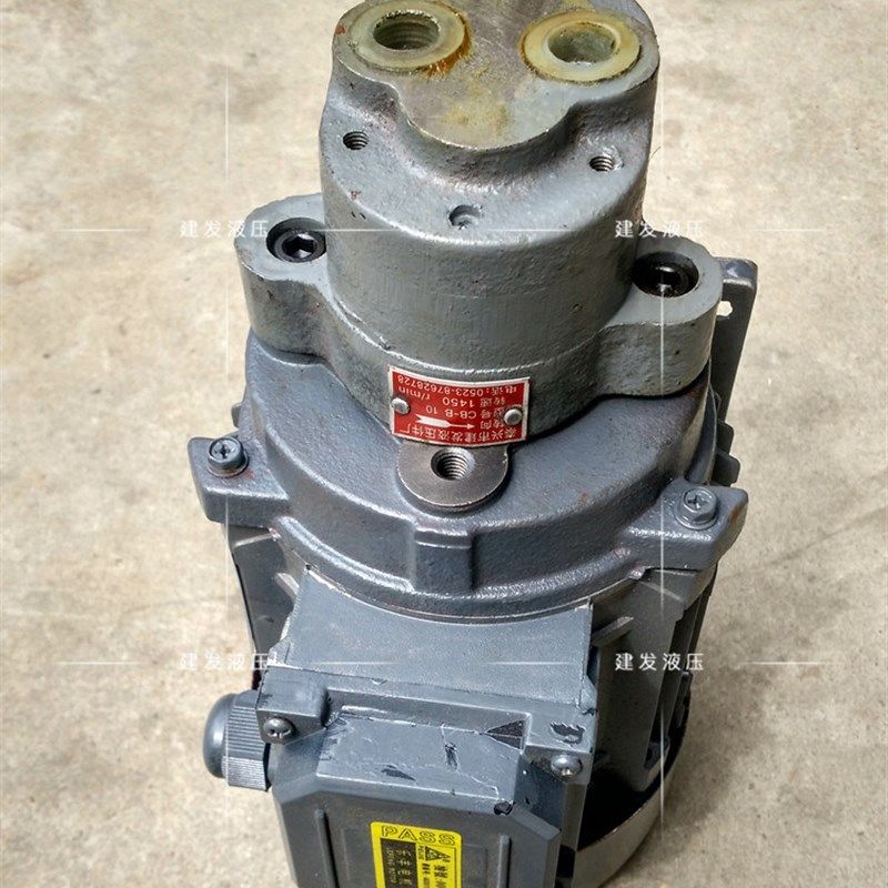CB-B2.5JZ/CB-B4JZ/CB-B6JZ CBW-B6/B4/B10/B2.5齿轮油泵电机组