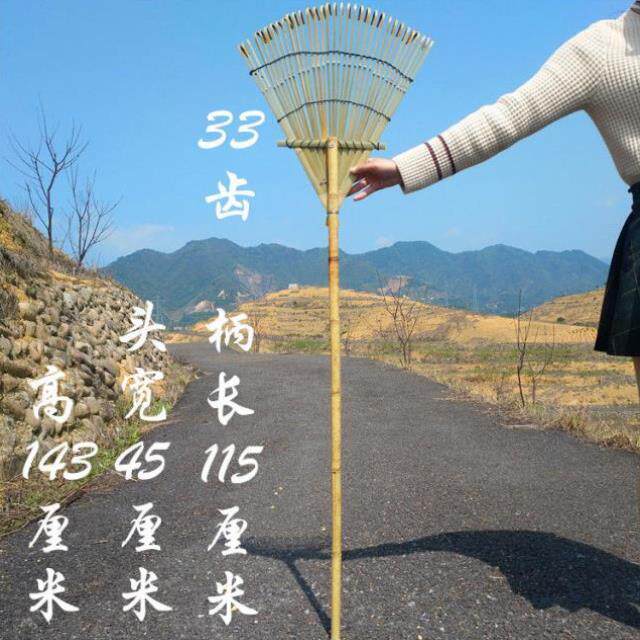 农用耙子竹熊爪手枯叶耙子树叶竹耙子草爬竹制大耙Y子园艺工具