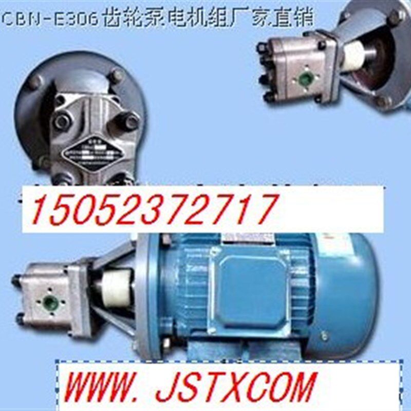 CBN-E310高压齿轮油泵电机组/CBT-F314/CBN-E314高压油泵电机组