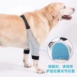 Золотой мао ​​локоть по уходу за локоном Pet Dog Contive Conticate наложница наложницы против -пышной серой грязные перила Labrador средняя большая собака