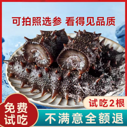 大连海参深海底播即食海参500g鲜活辽刺参海生盒装冻臻品特价包邮