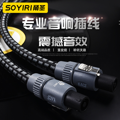 SOYIRI 专业插功放音箱线欧姆四芯加粗4.0平方喇叭线功放连接音响室外舞台纯铜发烧卡农音箱响插头音频连接线
