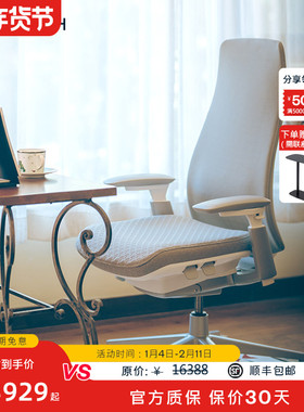 Haworth海沃氏 Fern人体工学椅电竞椅电脑椅旗舰款Big Arrow面料