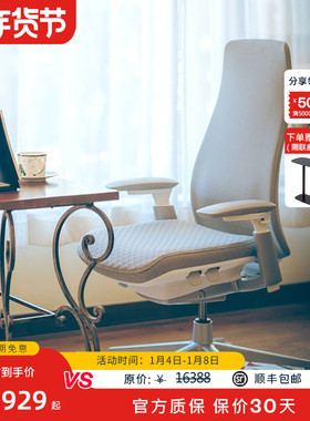 Haworth海沃氏 Fern人体工学椅电竞椅电脑椅旗舰款Big Arrow面料