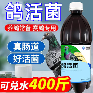 鸽子活菌王鸽用鸽子赛鸽信鸽幼鸽肉鸽用品
