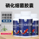 浓缩型升级硝化细菌胶囊鱼缸净水剂澄清水质硝化细菌养鱼观赏鱼用