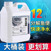 硝化细菌鱼缸用龙鱼硝化菌消化活菌em原液鱼池锦鲤专用净水除藻剂