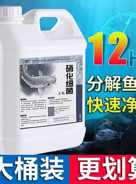硝化细菌鱼缸用龙鱼硝化菌消化活菌em原液鱼池锦鲤专用净水除藻剂