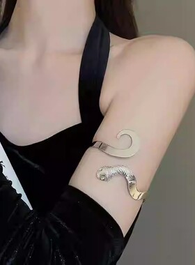 欧美金属冷淡风环绕双头蛇手镯高级感个性百搭手环2026轻奢臂环女