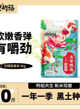 久鲤纳福 五常稻香米5斤/10斤  (真空包装 )长粒香大米 五常大米