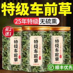 特级车前草中药材野生采摘新鲜干货正品官方旗舰店袋养生泡茶水zz