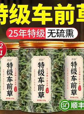 特级车前草中药材野生采摘新鲜干货正品官方旗舰店袋养生泡茶水zz