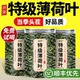 特级薄荷叶干中药材新鲜可食用级泡凉茶降火清热正品 官方旗舰店zz