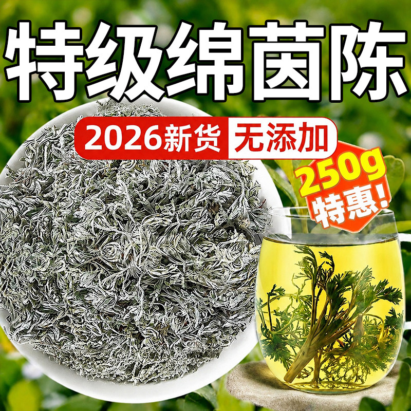 新鲜三月绵茵陈茶野生正宗养肝茶中草药材泡水喝官方旗舰店正品zz