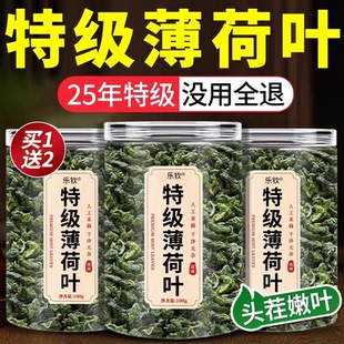 薄荷叶干新鲜食用凉茶清热降火解去火毒的茶包下中药材排毒养肝zz