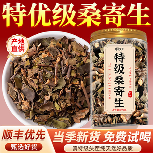 特级桑寄生野生中药材搭独活茶泡水喝的功效作用正品官方旗舰店zz