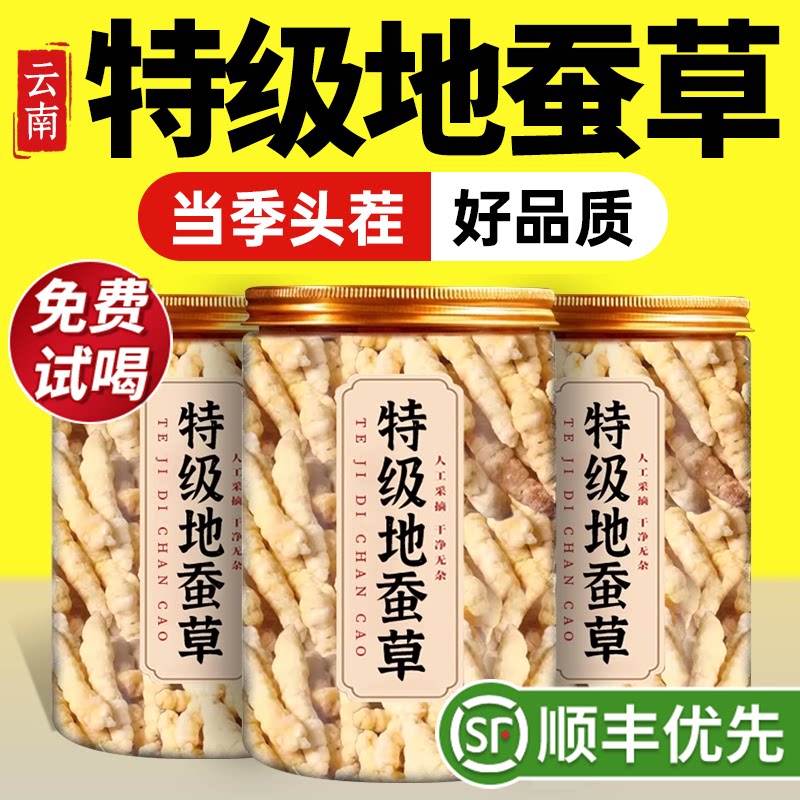 特级新鲜地蚕草野生中药材宝塔菜白虫草云南干货正品官方旗舰店zz