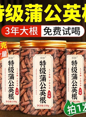 蒲公英根茶长白山中药材炒熟蒲公英根去火官方旗舰店zz