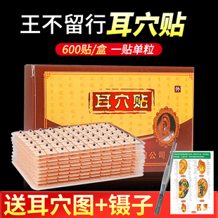 王不留行籽耳穴贴中医反射耳贴耳穴压贴耳朵模型磁珠穴位压力贴zz