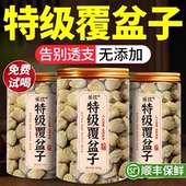 特级覆盆子中药材正品 官方旗舰店泡茶鲜果茶浙江覆盆子茶干货zz