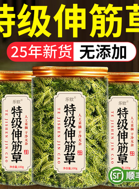 特级伸筋草中药材正品旗舰店野生小伸筋草中药透骨草正品zz