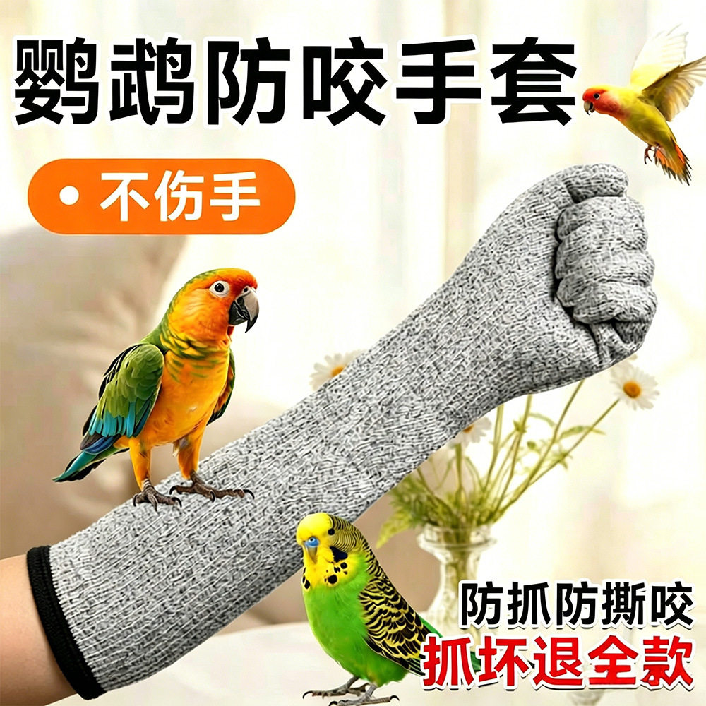 鹦鹉防咬手套养鸟训鸟用防抓护手金刚盘鸟鼠喂食防咬防猫抓