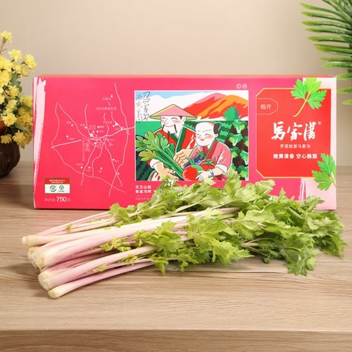 马家沟芹菜粉嫩芯青岛直发顺丰