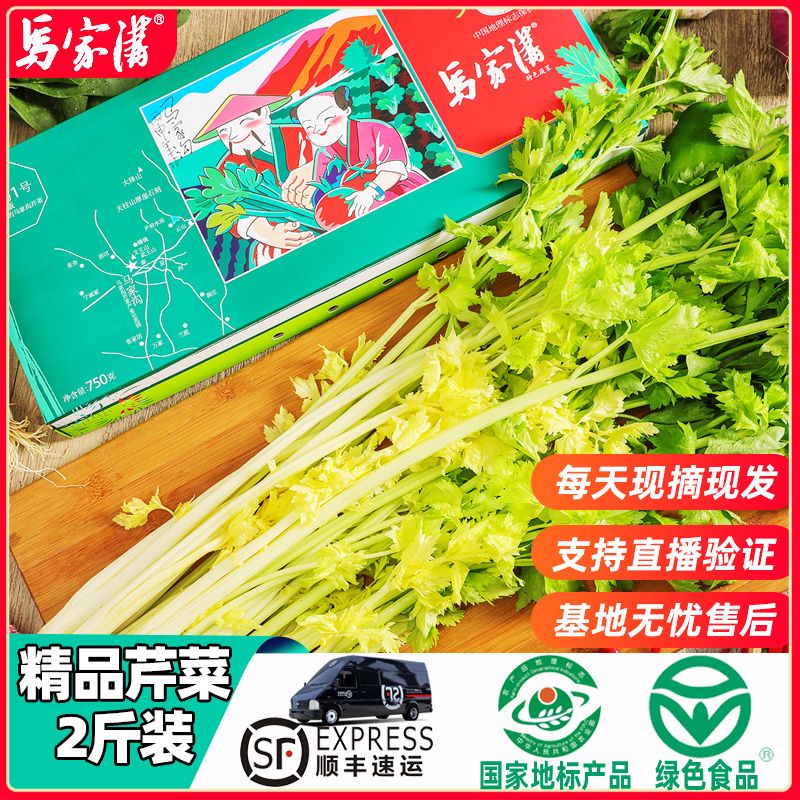 新鲜马家沟芹菜芯山东特产空梗芹菜2斤精品生吃凉拌食用生鲜包邮 水产肉类/新鲜蔬果/熟食 叶菜类 原图主图