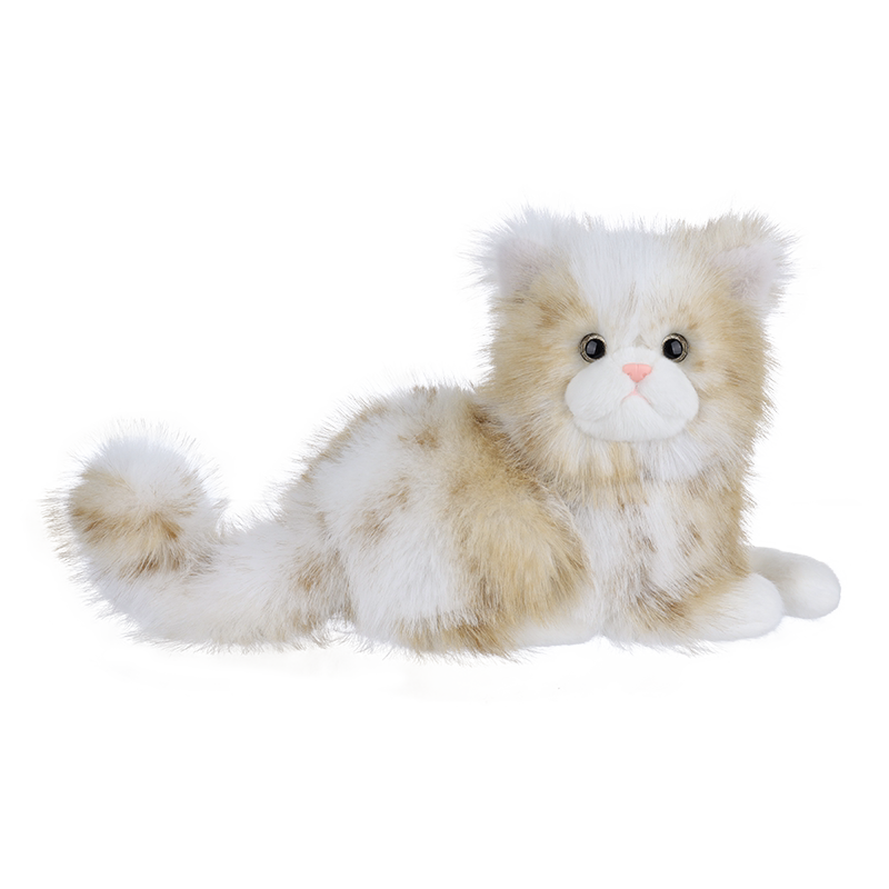 Apricotlamb棕色波斯猫