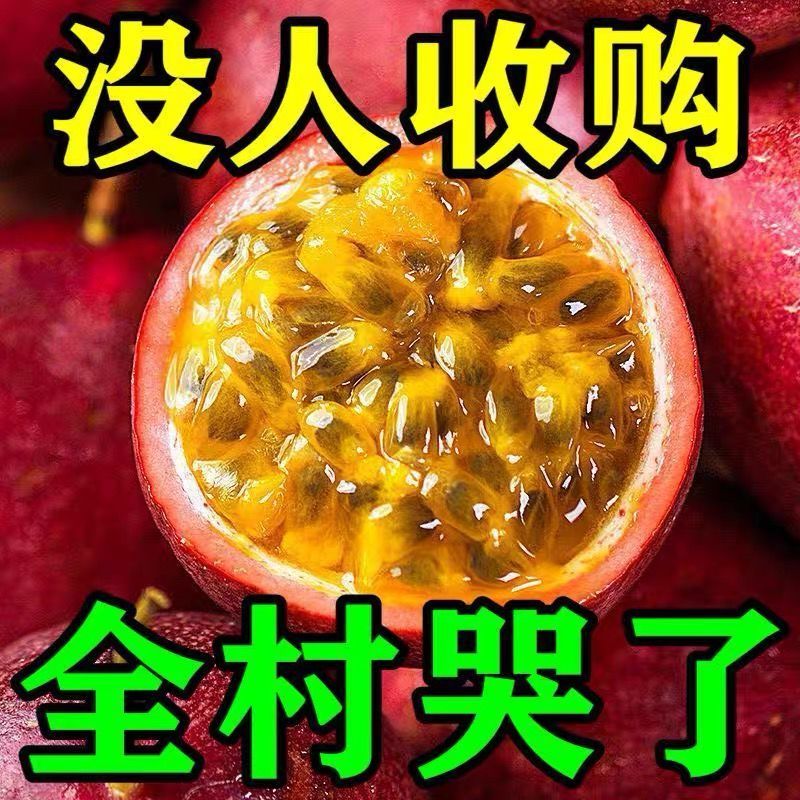 广西紫皮邮特大果新鲜百香果