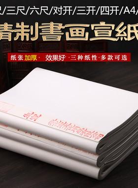 宣纸国画专用纸水墨颜料画6尺4尺整张加厚生宣半生熟书法作品四尺三开四开对开白色练习毛笔字安徽泾县