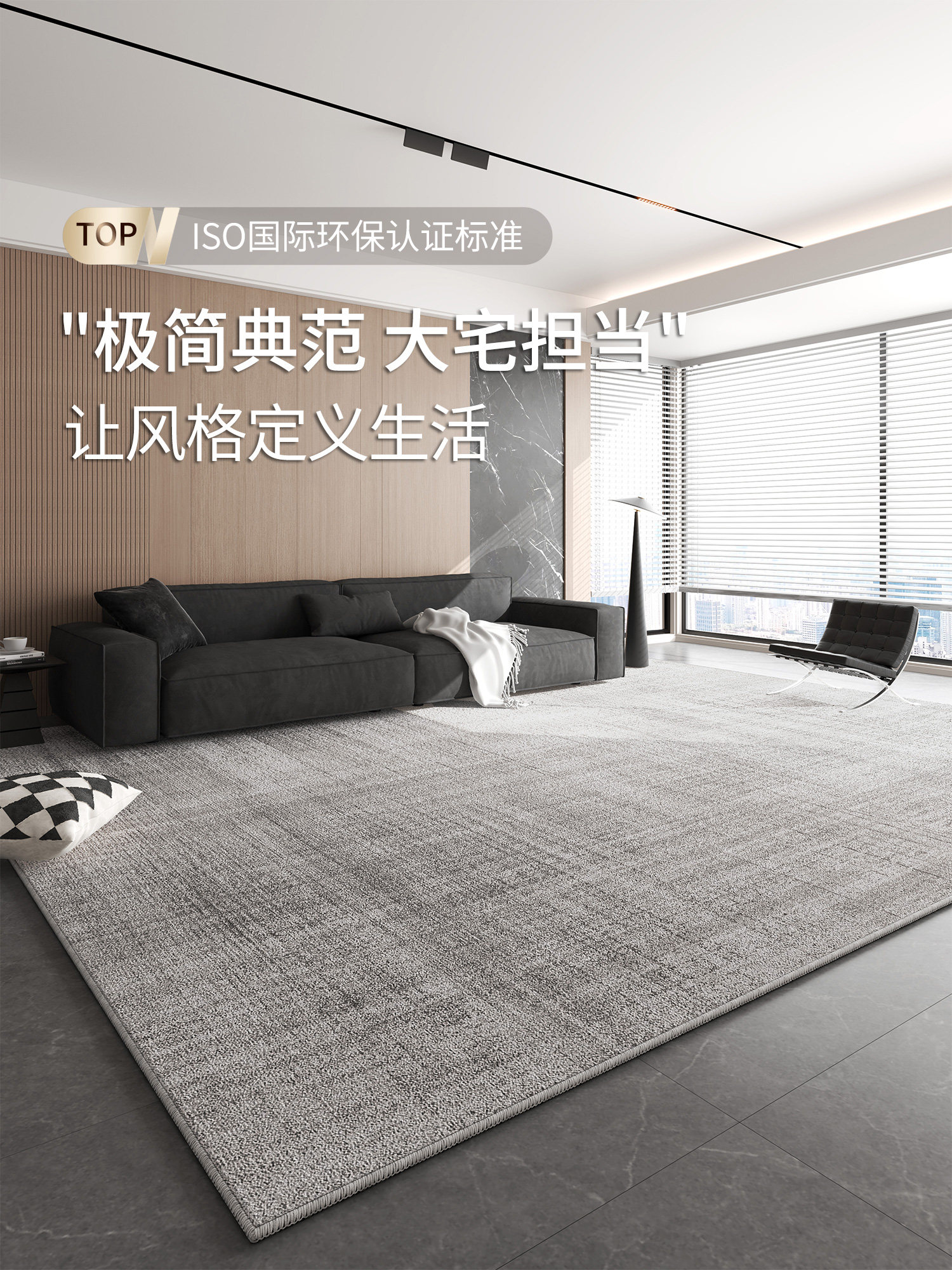地毯客厅2025新款轻奢高级感灰色免洗可擦卧室床边地垫极简沙发毯