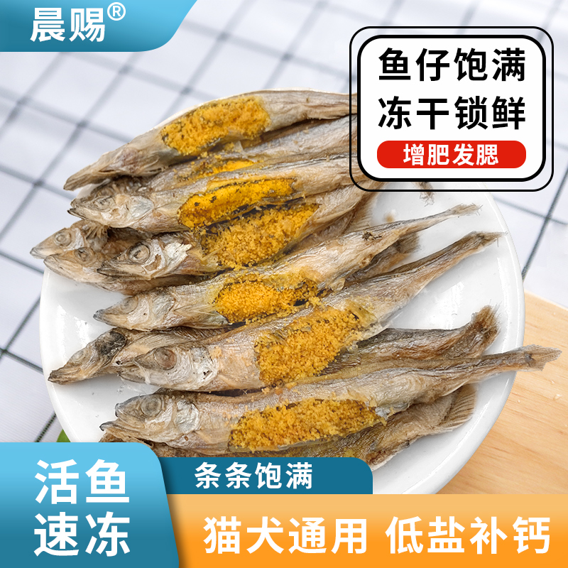 多春鱼冻干猫零食小鱼干增肥发腮狗狗猫咪零食成猫幼猫粮